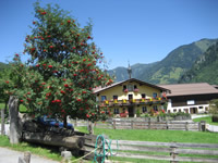 Haus mit Vogelbeerbaum